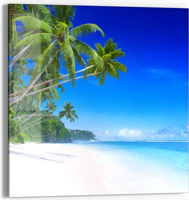 Produktbild von DEQORI Glasbild Echtglas 30x30 cm 'Palmen am Sandstrand' Wandbild Bild modern Deko