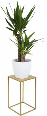 Obrázek produktu pro Howhomely Plant Stool Metal 40 cm - kvìtinová stolièka kovová zlato - kvìtinový stojan
