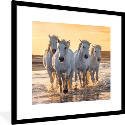 Produktbild von MuchoWow® Gerahmtes Poster Pferde - Wasser - Strand - Tiere 40x40 cm - Poster mit Schwarzem Bilderrahmen Wandposter Rahmen Foto Bilder - Poster - Plakat im Rahmen