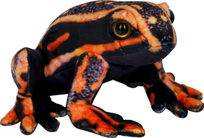 Produktbild von Pfeilgiftfrosch - Nature Zoom Wild