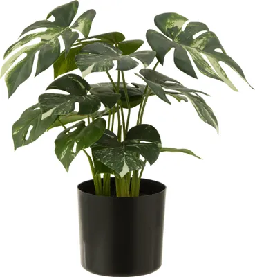 Obrázek produktu pro J-Line Monstera v květináči Umělá zelená