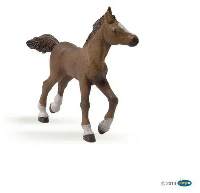 Immagine prodotto di Papo Figurina puledro anglo-arabo