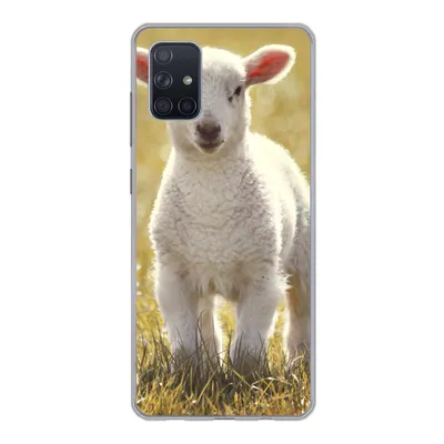 Produktbild von MuchoWow® Handyhülle Schutzhülle Hülle für Samsung Galaxy A71 Schafe - Gras - Sonne Silikon Softcase Handy Hülle - Kartenbesitzer