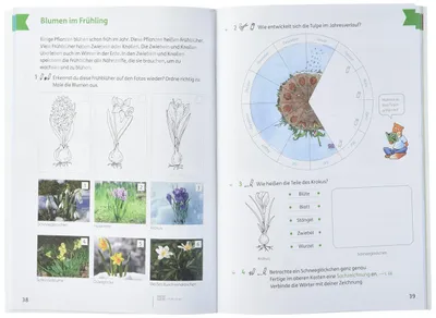 Image de Piri 1 Sachunterricht. Arbeitsheft Klasse 1. Ausgabe Brandenburg, Sachsen-Anhalt und Thüringen