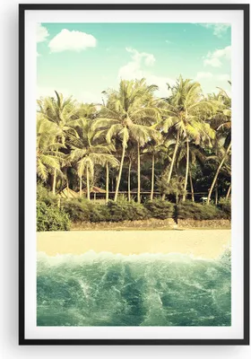 Produktbild von Gerahmtes Poster - Schwarzer Rahmen - Natur Strand Palmen - 61x91,5 cm - Wand Bild - Wanddeko - Wandbilder - Kunstposter - Wandposter - Bilderrahmen - Bilder - Kunstdruck - P2BPA61x91-4915