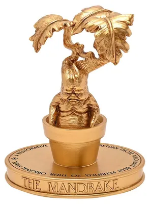 Productafbeelding van Harry Potter-beeldje, goudkleurig, standaardmodel