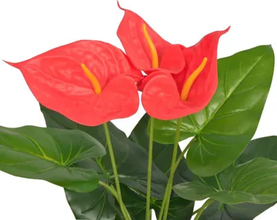 Produktbild von vidaXL Künstliche Flamingoblume mit Topf 45 cm Rot und Gelb