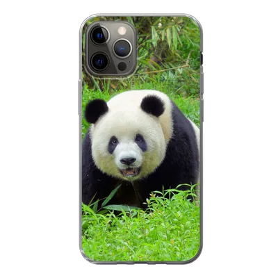 Produktbild von MuchoWow® Handyhülle Schutzhülle Hülle für iPhone 12 Pro Panda - Gras - Tier Silikon Softcase Handy Hülle - Abdeckung
