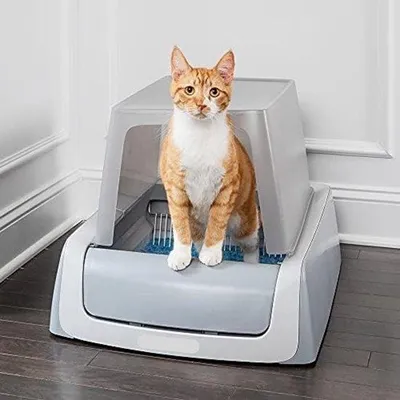 Produktbild von Famanu Automatische Katzenbox - Selbstreinigend, für mehrere Katzen