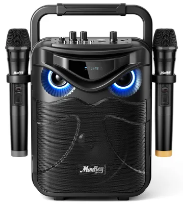 Karaoke-Lautsprecher, tragbar, 2 Mikrofone, Bluetooth, LED