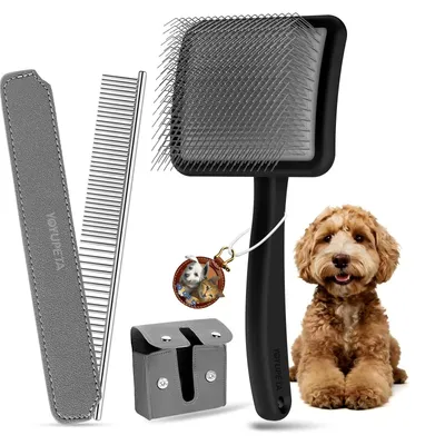 Image de Kit de brosses et de peignes professionnels pour chiens à poil long et épais