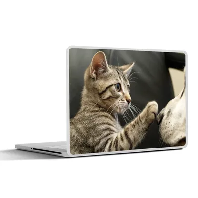 Produktbild von MuchoWow® Laptop Aufkleber Sticker Cover Katze - Hund - Pfote 30x21 cm - Sticker für Laptop - Selbstklebend