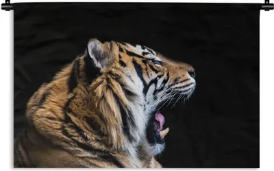 Produktbild von MuchoWow® Wandteppich Wandbehang Tiger - Tiere - Porträt 60x40 cm Tapisserie Dekoration Wandtuch - Wanddekorationen
