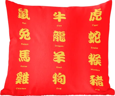 Produktbild von MuchoWow® Zierkissen Sofakissen Wohnzimmer Dekokissen 60x60 cm Chinesische Schriftzeichen für Tiernamen in Gold - Sitzfläche - Foto Polster