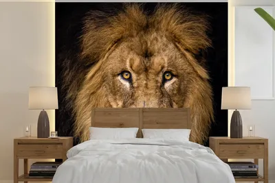Produktbild von MuchoWow® Fototapete für Wohnzimmer oder Schlafzimmer Wandtapete Vinyl Motivtapete Löwe - Porträt - Schwarz - Tiere - 300x300 cm - Wanddekoration
