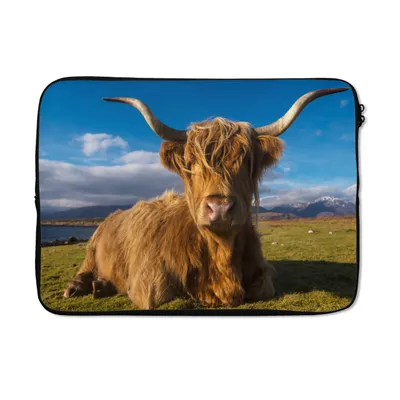 Produktbild von MuchoWow® Laptop Hülle 13 Zoll Schottische Highlander - Tiere - Gras Laptoptasche - Laptophülle - Sleeve - Rundumschutz