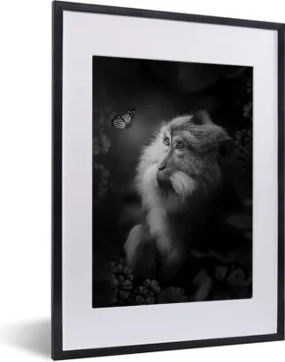 Produktbild von MuchoWow® Gerahmtes Poster Porträt von einem Affen und einem Schmetterling im Dschungel - schwarz und weiß 30x40 cm - Poster mit Schwarzem Bilderrahmen Wandposter Rahmen Foto Bilder - Wandposter Schlafzimmer