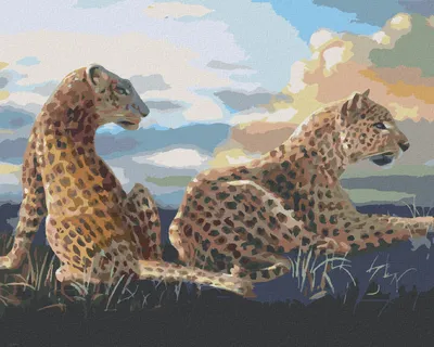 Produktbild von Zuty - Malen nach Zahlen - LIEGENDER LEOPARD (D. RUSTY RUST), 40x50 cm, ohne Keilrahmen