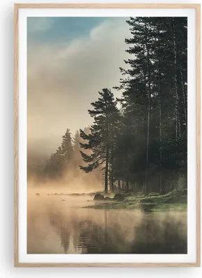 Produktbild von Gerahmtes Poster - Rahmen in heller Eiche - Nebel See Wald - 70x100 cm - Wand Bild - Wanddeko - Wandbilder - Kunstposter - Wandposter - Bilderrahmen - Bilder - Kunstdruck - P2NPA70x100-4440