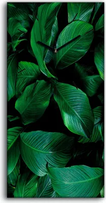 Produktbild von Küche Wohnzimmer Wand Leinwand Uhr 30x60 Gemälde Blumen Blätter Pflanzen Kunst - schwarze Hände