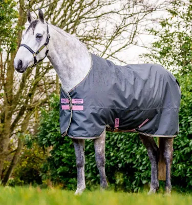 Obrázek produktu pro Horseware Amigo Hero Ripstop Original Lite 0g