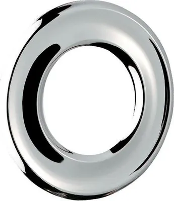 Image de Rosace murale Delabie profilée D55x27x2mm pour vanne G3/4B