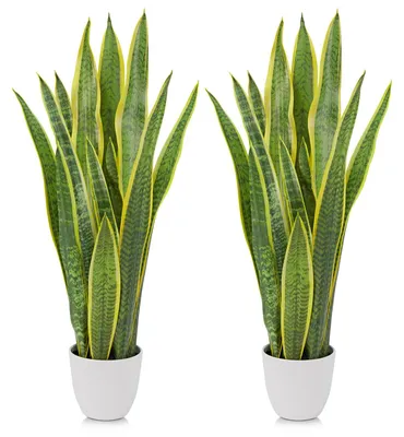 Künstliche Sansevieria-Pflanze, 73 cm, 2er-Set, Kunststoff, Weiß