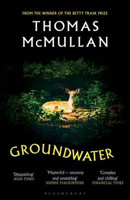 Produktbild von Groundwater
