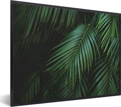 Produktbild von MuchoWow® Gerahmtes Poster Palmenblätter - Palmen - Tropisch 40x30 cm - Poster mit Schwarzem Bilderrahmen Wandposter Rahmen Foto Bilder - Kunstposter - Wanddekorationen