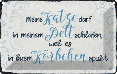 Produktbild von vianmo Blechschild 20x30 cm meine Katze darf in meinem Bett Tier Haustier