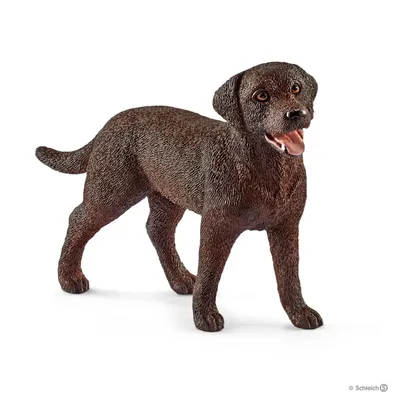 Produktbild von Schleich Labrador Retriever Spielfigur - Größe: ca. 7,5 cm; 13834