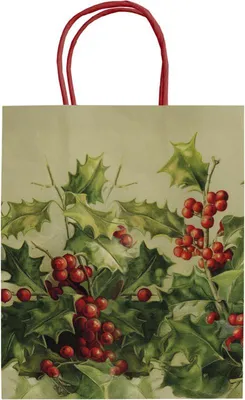 Produktbild von Geschenkpapier-Tasche, rot, mit Weihnachtsmotiv: Weihnachtsstern