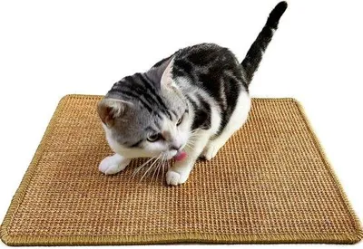 Produktbild von Naturkautschukmat für Kaninchen, 2 Stück, 40,64 x 30,48 cm, für Innenkäfige