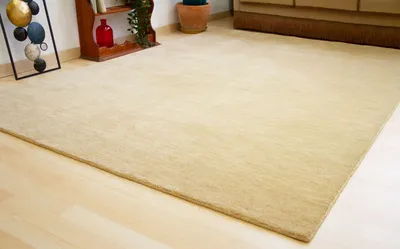 Produktbild von Steffensmeier Gabbeh Teppich Jaipur | Wolle, Farbe: Beige, Größe: 120x180 cm, Kurzflor Teppich für Wohnzimmer