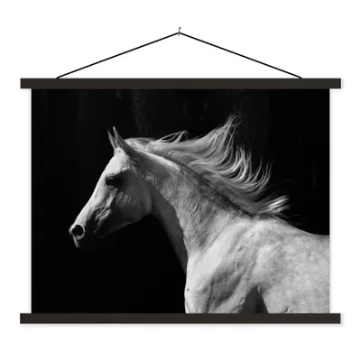 Produktbild von MuchoWow® Textilposter Pferde - Nutztiere - Mähnen 60x45 cm mit schwarzem Rahmen - Poster Schlafzimmer
