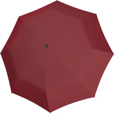 Image de Knirps parapluie de poche parapluie Vision Manual Terra bordeaux