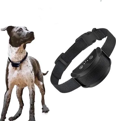 Productafbeelding van Anti-blafapparaat voor kleine, middelgrote en grote honden, met geluid en trilling