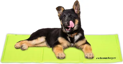 Immagine prodotto di relaxdays Tappeto refrigerante verde per cani