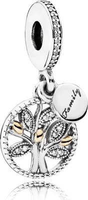A close-up studio shot of a silver and gold Pandora charm.