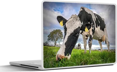 Produktbild von MuchoWow® Laptop Aufkleber Sticker Cover Kuh - Gras - Bauernhof - Natur 40x30 cm - Laptop Dekoration - Selbstklebend