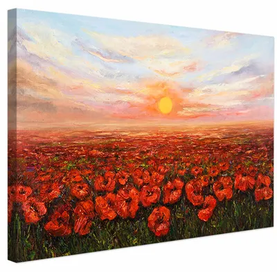 Canvas-Wandbild Mohnfeld, 60 x 40 cm, fertig zum Aufhängen
