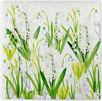 Produktbild von Airlaid Serviette Amelie, 40 x 40 cm, 50 Stück - Mank - Floral