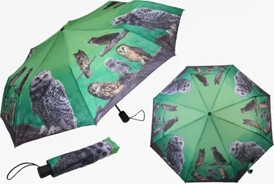 Produktbild von 1 Taschenschirm Eulen, Automatikschirm Schirm Schirme Tiere Tier Eule Vögel