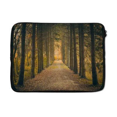 Produktbild von MuchoWow® Laptop Hülle 14 ZollPfad - Bäume - Wald Laptoptasche - Laptoptasche - Stoßsicher - Schutzhaube