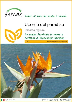 Immagine prodotto di SAFLAX  - Uccello del paradiso - 5 semi - Strelitzia