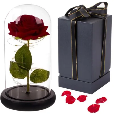 Produktbild von Ewige Rose im Glas mit Licht Rose Geschenke für Frauen: Model 1 Model auswählen: Model 1