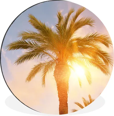 Produktbild von MuchoWow® Aluminium Wandkreis Palme - Sommer - Sonne - Tropisch Ø 60 cm Wanddeko Modern Wohnzimmer - Wand Kreis - Wandbild - Schlafzimmer - Aluminium Bild - Kinderzimmer - Wohnzimmer Dekoration - Wandschmuck