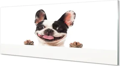 Produktbild von Glasbilder 125x50 Wandkunst Hund
