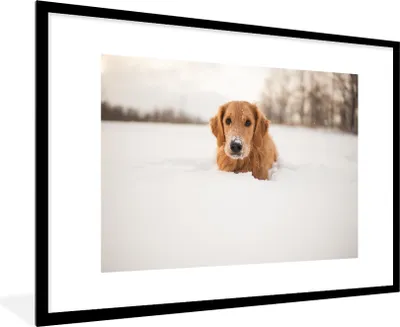 Produktbild von MuchoWow® MuchoWow® Gerahmtes Poster Hund - Schnee - Winter 90x60 cm - Poster mit zchwarzem Bilderrahmen - Wanddekoration - Fotos
