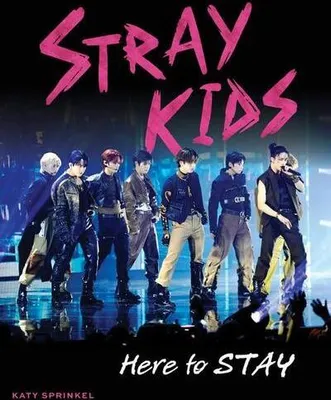 Produktbild von Stray Kids